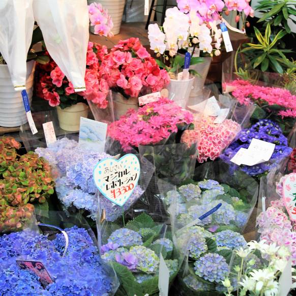 「花モト」　（三重県四日市市）の花屋店舗写真2